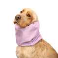 Load image into Gallery viewer, Ūdensizturīga suņu šalle (snood) | Lavender