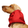 Load image into Gallery viewer, Ūdensizturīga suņu šalle (snood) | Jeans Red