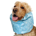 Load image into Gallery viewer, Ūdensizturīga suņu šalle (snood) | Snowflakes in Sky Blue