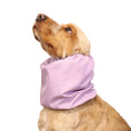 Load image into Gallery viewer, Ūdensizturīga suņu šalle (snood) | Lavender