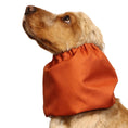 Load image into Gallery viewer, Ūdensizturīga suņu šalle (snood) | Burnt Orange