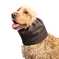 Load image into Gallery viewer, Ūdensizturīga suņu šalle (snood) | Brown