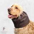 Load image into Gallery viewer, Ūdensizturīga suņu šalle (snood) | Brown