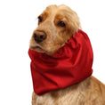 Load image into Gallery viewer, Ūdensizturīga suņu šalle (snood) | Jeans Red