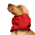 Load image into Gallery viewer, Ūdensizturīga suņu šalle (snood) | Jeans Red