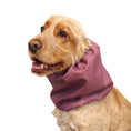 Load image into Gallery viewer, Ūdensizturīga suņu šalle (snood) | Acid Burgundy