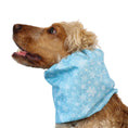 Load image into Gallery viewer, Ūdensizturīga suņu šalle (snood) | Snowflakes in Sky Blue