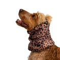 Load image into Gallery viewer, Ūdensizturīga suņu šalle (snood) | Soft Leopard