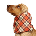 Load image into Gallery viewer, Ūdensizturīga suņu šalle (snood) | Copper Tartan