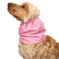 Load image into Gallery viewer, Ūdensizturīga suņu šalle (snood) | Pastel Pink