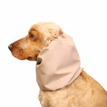 Load image into Gallery viewer, Ūdensizturīga suņu šalle (snood) | Cream