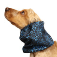 Load image into Gallery viewer, Ūdensizturīga suņu šalle (snood) | Royal Cheetah
