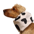 Load image into Gallery viewer, Ūdensizturīga suņu šalle (snood) | MOOOOOO