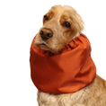 Load image into Gallery viewer, Ūdensizturīga suņu šalle (snood) | Burnt Orange