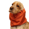 Load image into Gallery viewer, Ūdensizturīga suņu šalle (snood) | Jeans Burnt Orange