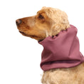 Load image into Gallery viewer, Ūdensizturīga suņu šalle (snood) | Acid Burgundy