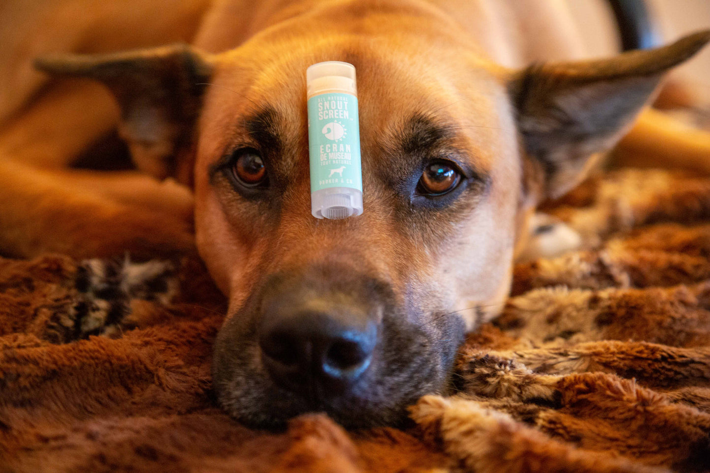 Saules aizsargkrēms