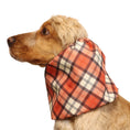 Load image into Gallery viewer, Ūdensizturīga suņu šalle (snood) | Copper Tartan
