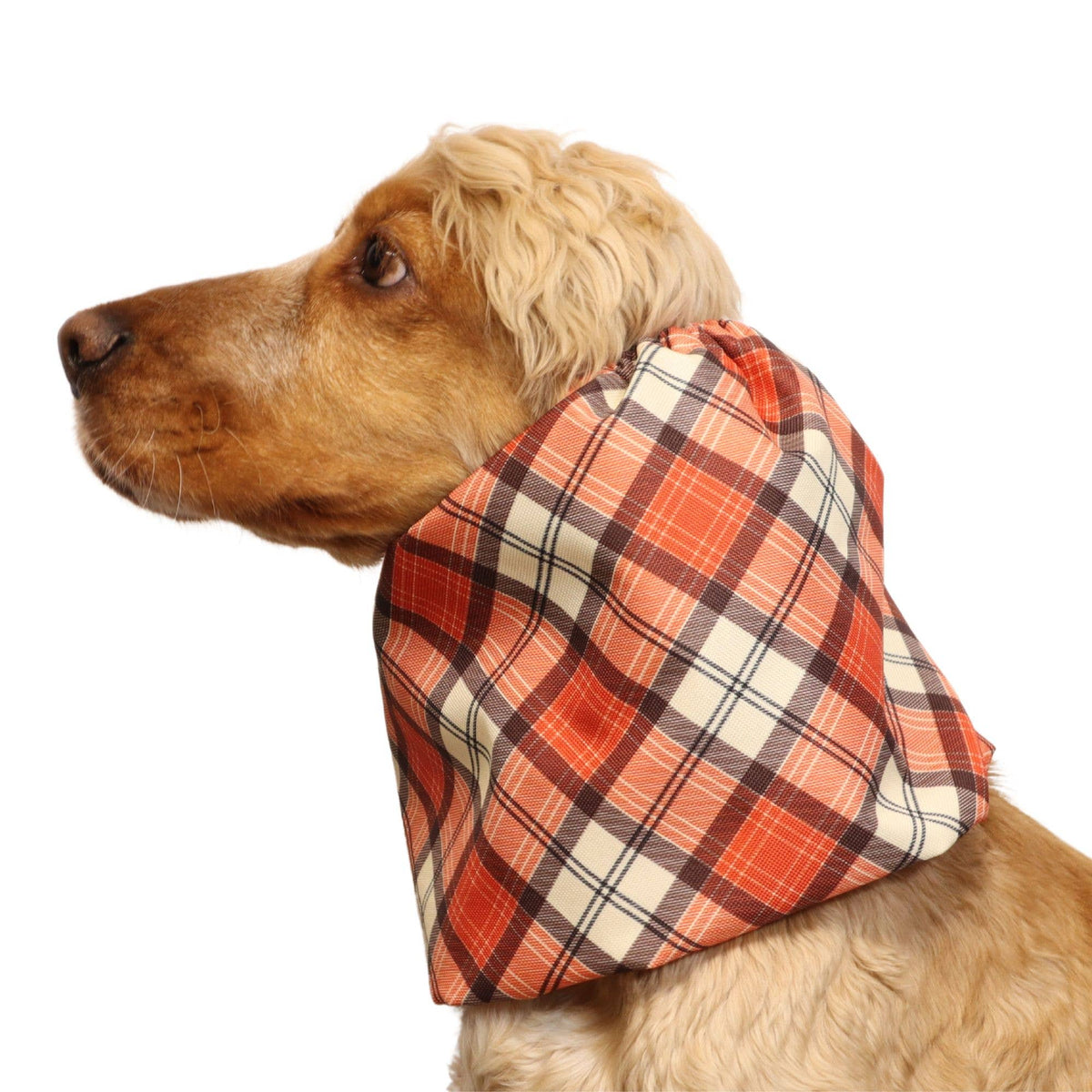 Ūdensizturīga suņu šalle (snood) | Copper Tartan