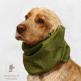 Load image into Gallery viewer, Ūdensizturīga suņu šalle (snood) | Jeans Green
