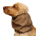 Load image into Gallery viewer, Ūdensizturīga suņu šalle (snood) | Hazelnut Brown
