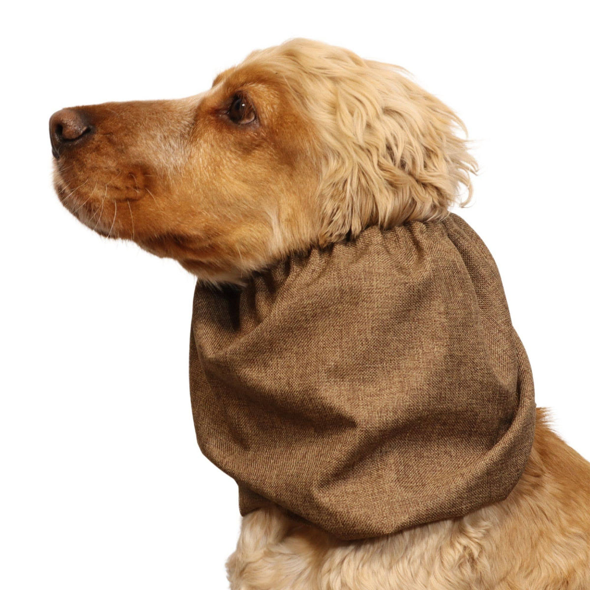 Ūdensizturīga suņu šalle (snood) | Hazelnut Brown