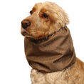 Load image into Gallery viewer, Ūdensizturīga suņu šalle (snood) | Hazelnut Brown
