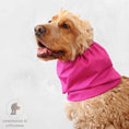 Load image into Gallery viewer, Ūdensizturīga suņu šalle (snood) | Dark Pink
