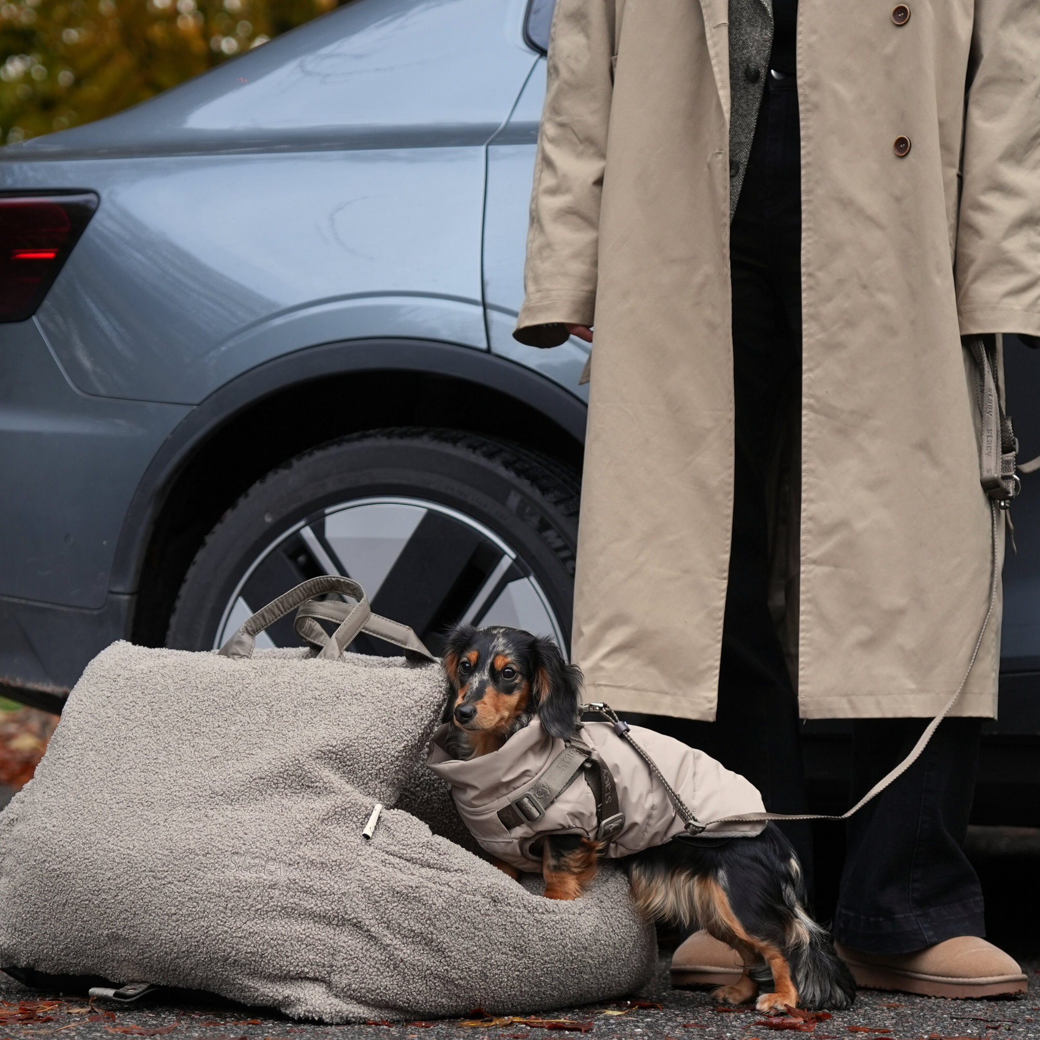 Vera suņu mētelītis ar iemauktiem | Sand: XS