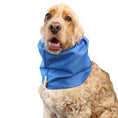 Load image into Gallery viewer, Ūdensizturīga suņu šalle (snood) | Blue
