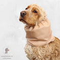Load image into Gallery viewer, Ūdensizturīga suņu šalle (snood) | Caramel
