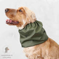 Load image into Gallery viewer, Ūdensizturīga suņu šalle (snood) | Olive Green
