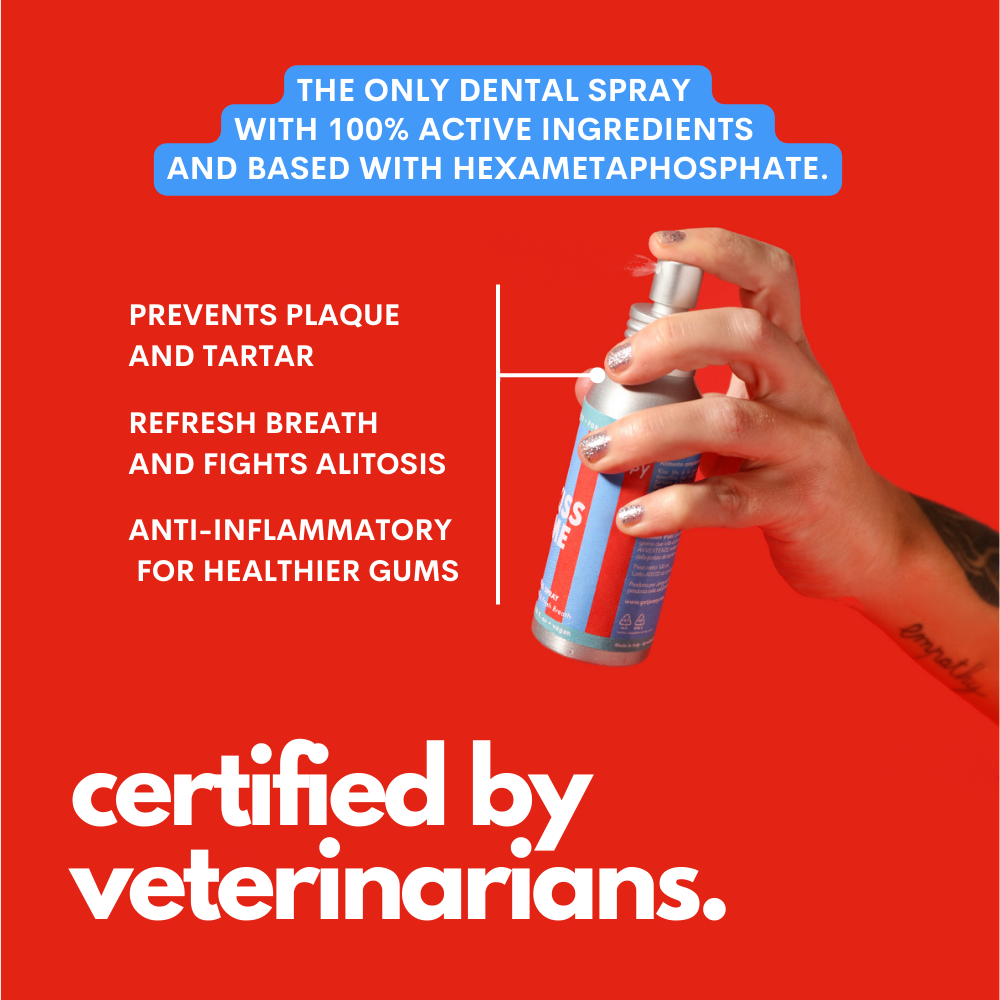 Kiss Me - Dabīgs zobu aerosols cīņai pret halitozi suņiem