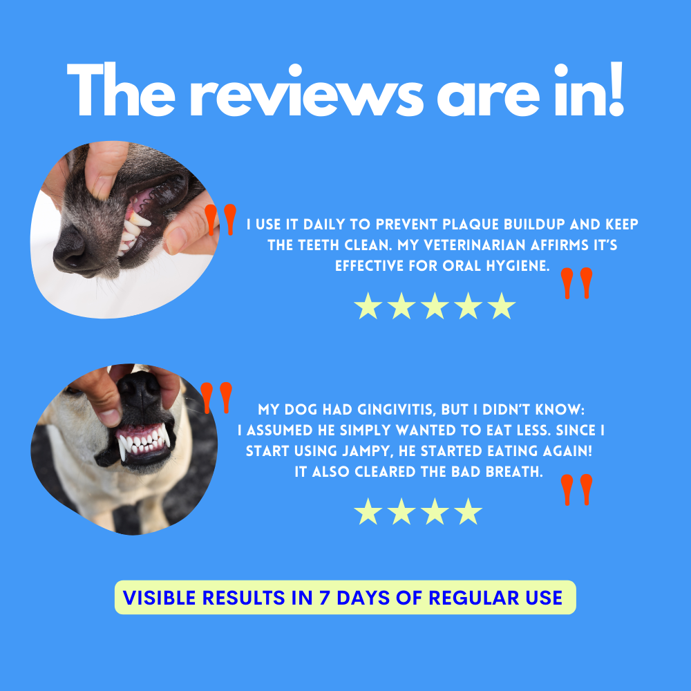 Kiss Me - Dabīgs zobu aerosols cīņai pret halitozi suņiem