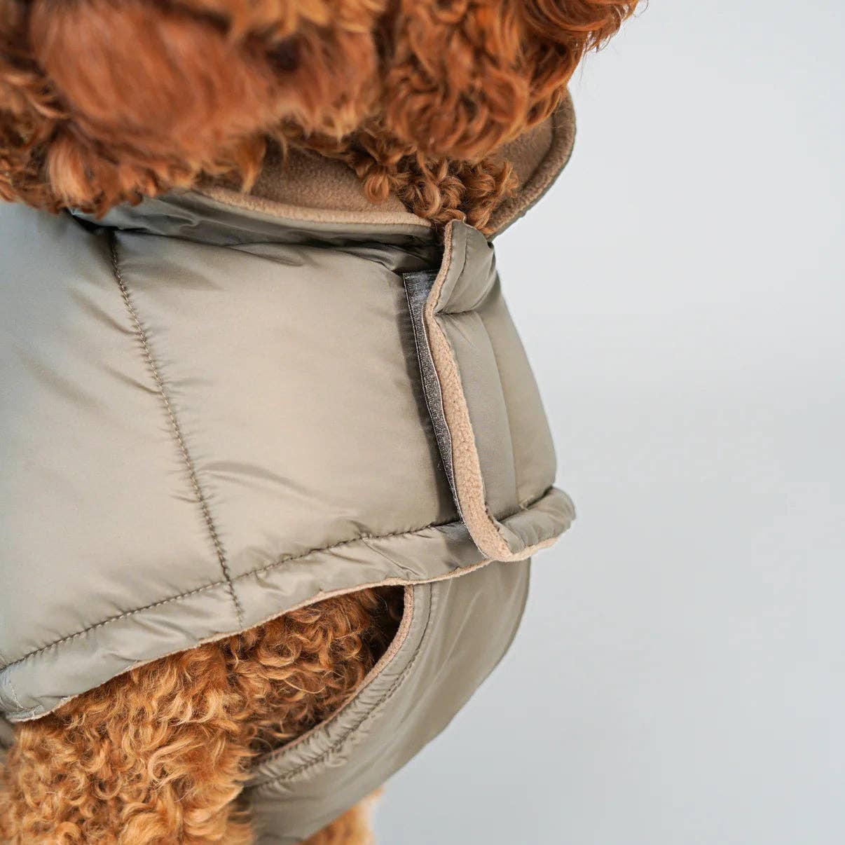 Nora suņu mētelītis | Nature: XXS