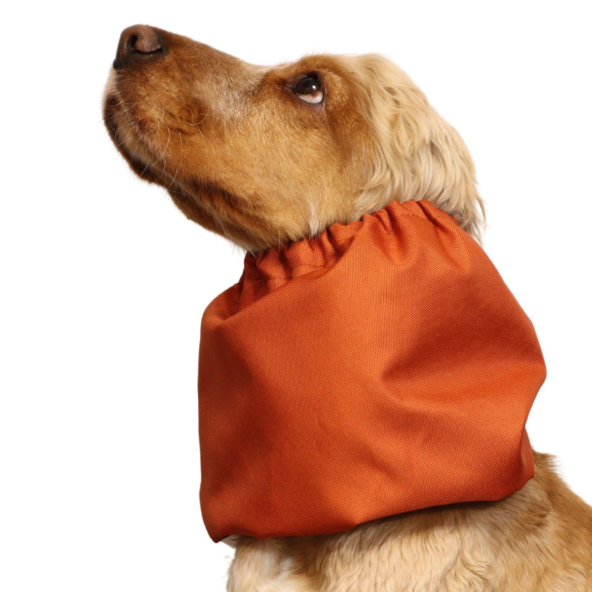 Ūdensizturīga suņu šalle (snood) | Burnt Orange