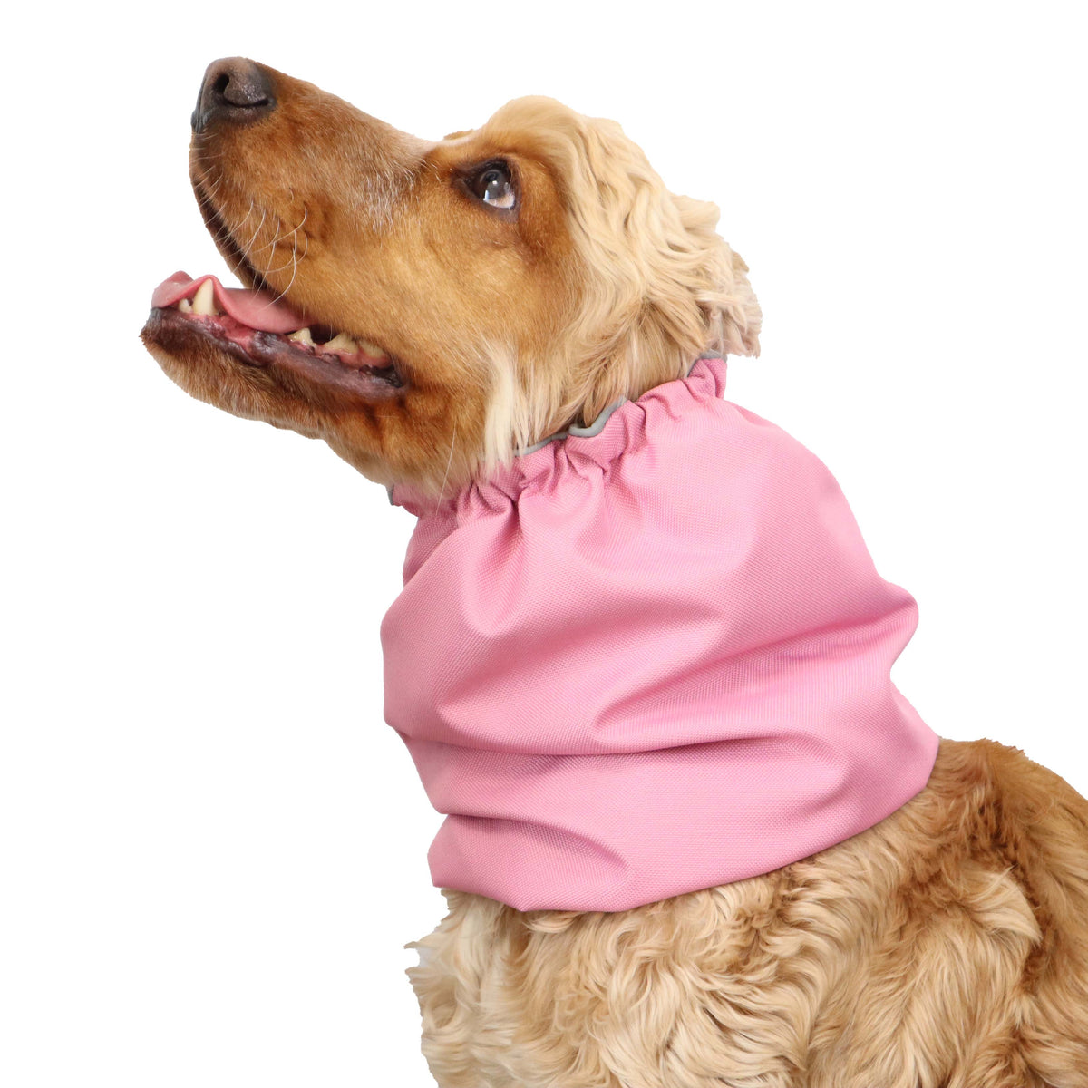 Ūdensizturīga suņu šalle (snood) | Pastel Pink