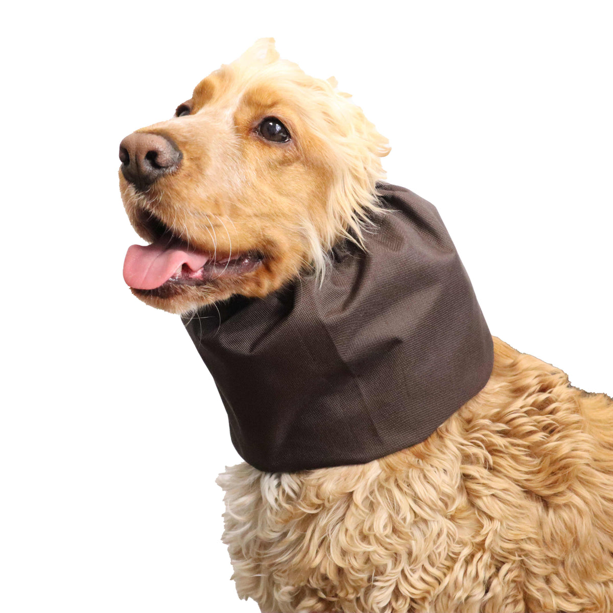 Ūdensizturīga suņu šalle (snood) | Brown