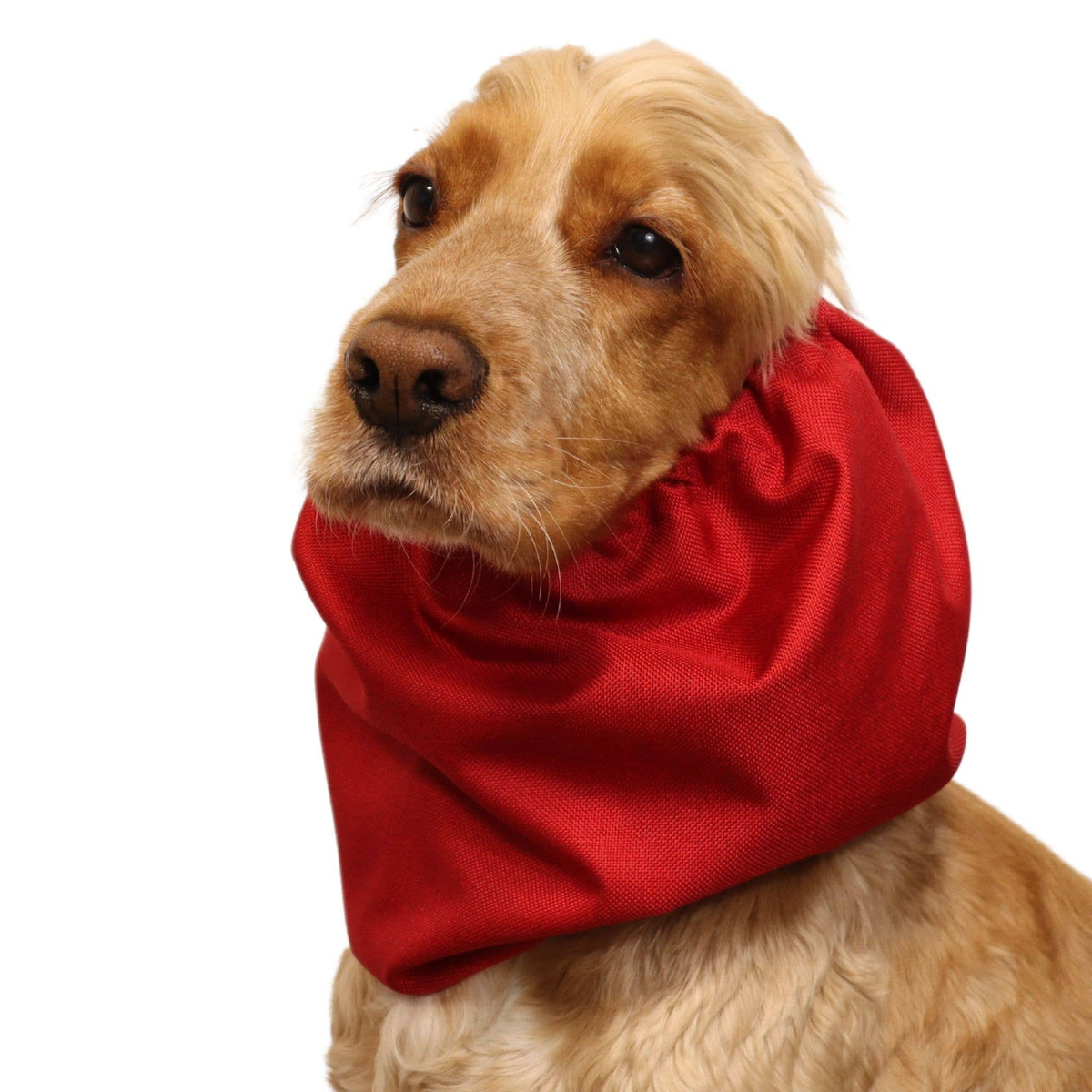 Ūdensizturīga suņu šalle (snood) | Jeans Red