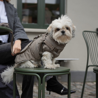 Vera suņu mētelītis ar iemauktiem | Sage: XXS