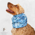 Load image into Gallery viewer, Ūdensizturīga suņu šalle (snood) | Sparkling Frost
