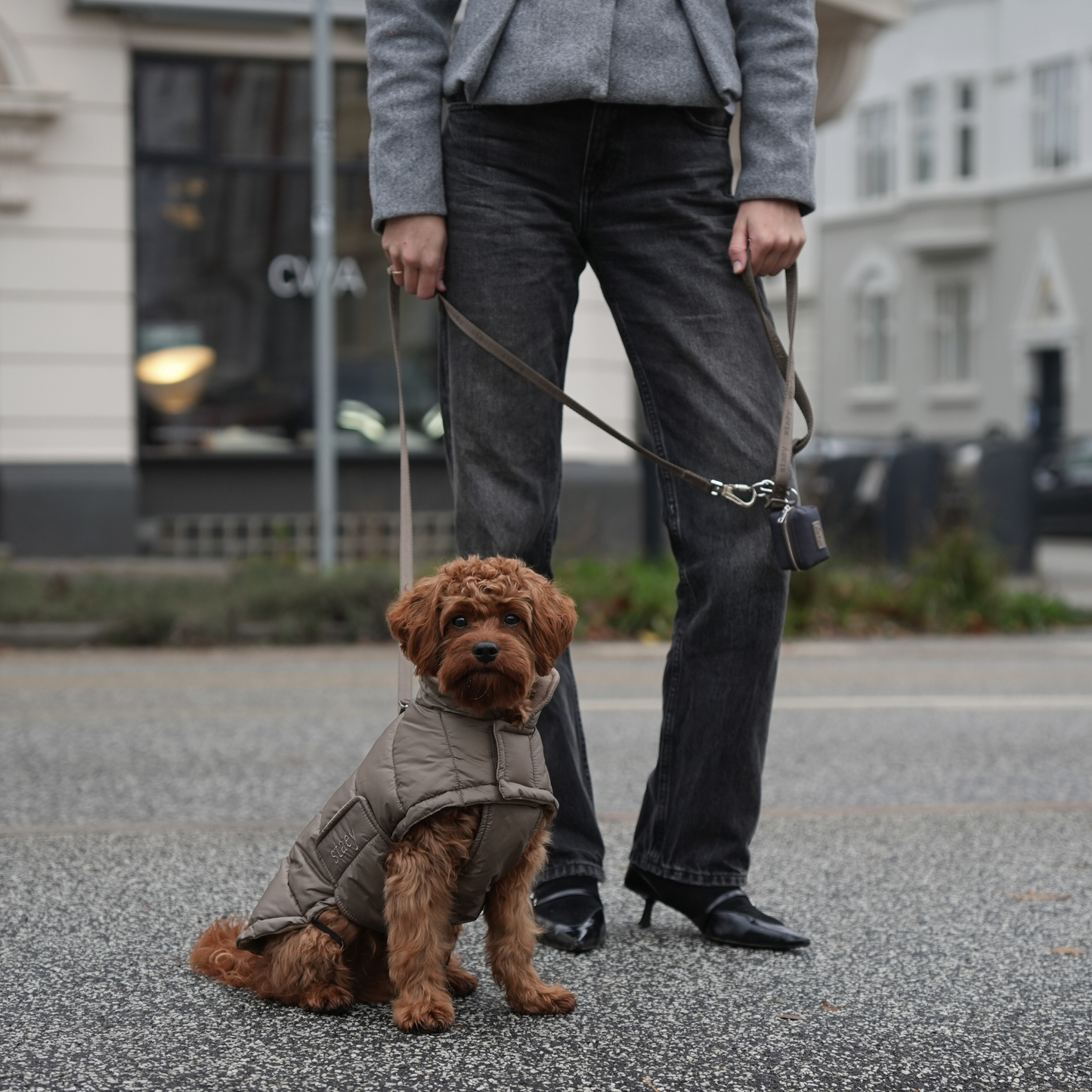 Nora suņu mētelītsi| Taupe: XS