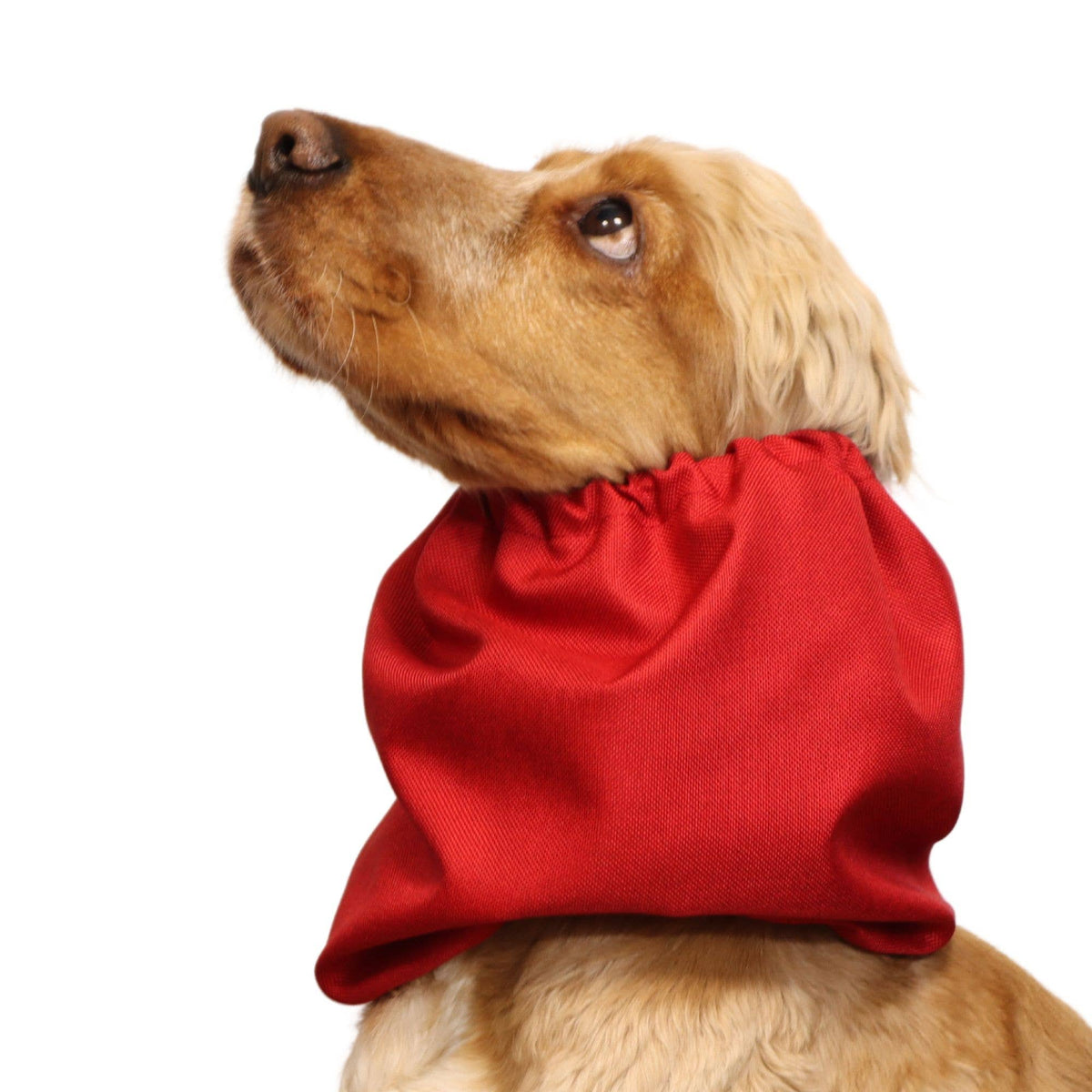 Ūdensizturīga suņu šalle (snood) | Jeans Red