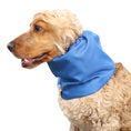 Load image into Gallery viewer, Ūdensizturīga suņu šalle (snood) | Blue
