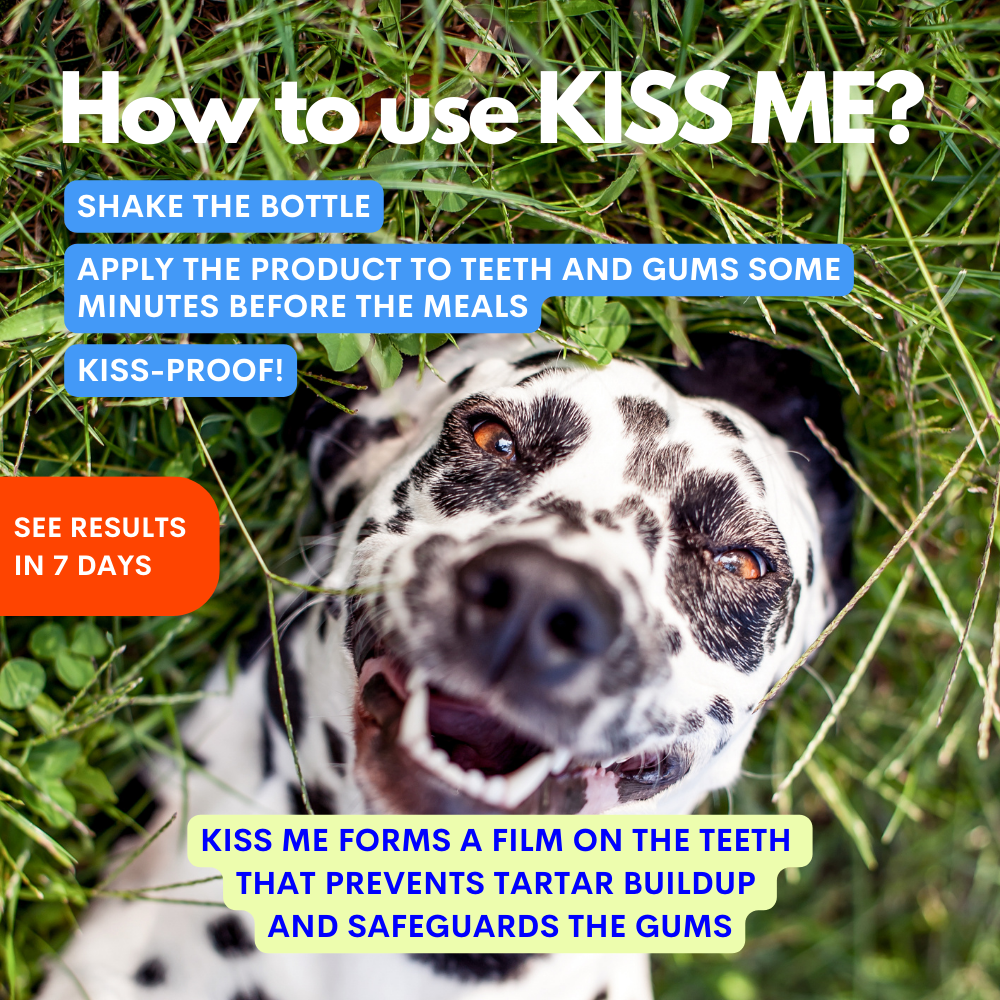 Kiss Me - Dabīgs zobu aerosols cīņai pret halitozi suņiem