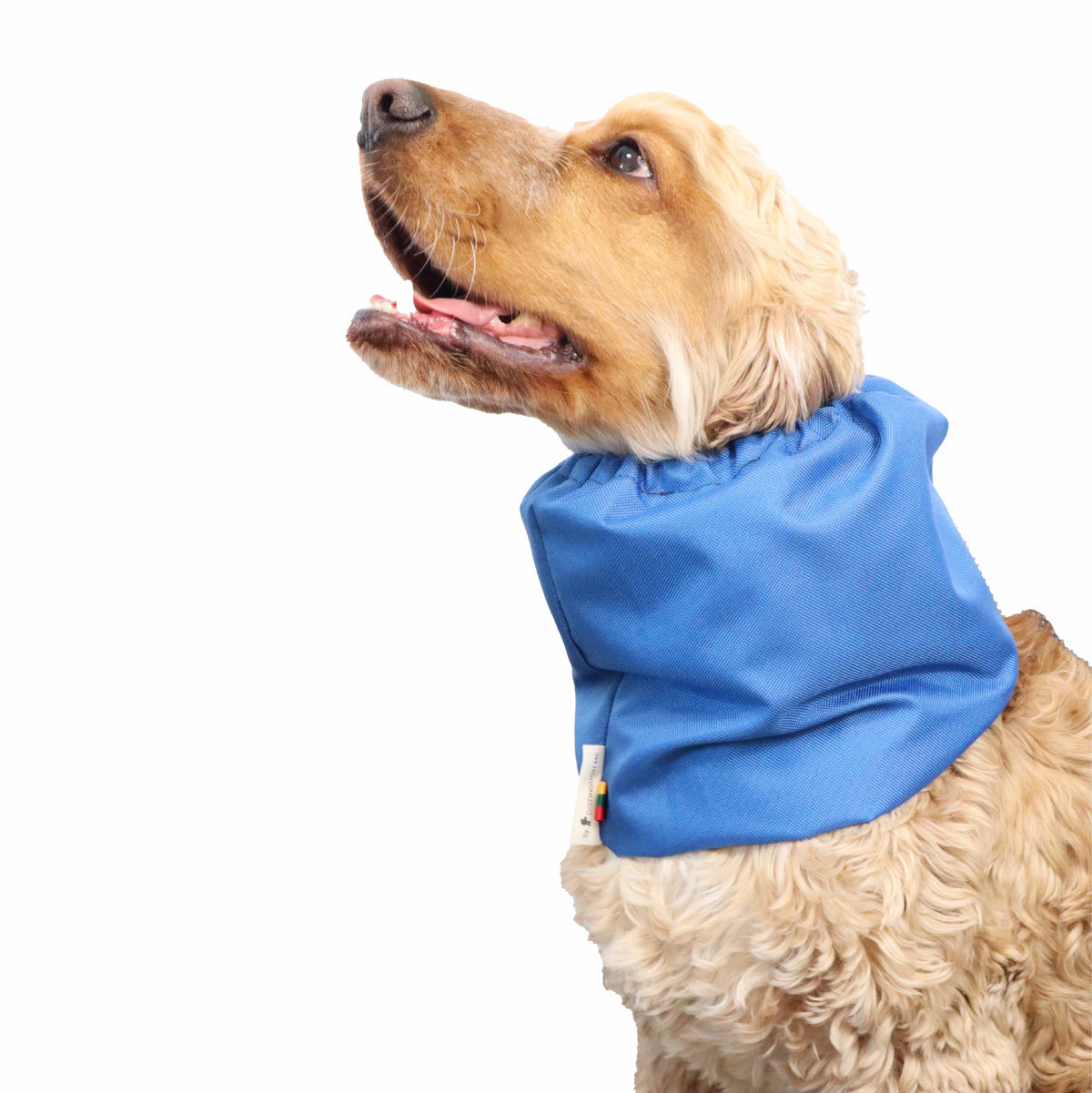 Ūdensizturīga suņu šalle (snood) | Blue
