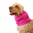 Load image into Gallery viewer, Ūdensizturīga suņu šalle (snood) | Dark Pink
