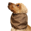 Load image into Gallery viewer, Ūdensizturīga suņu šalle (snood) | Hazelnut Brown
