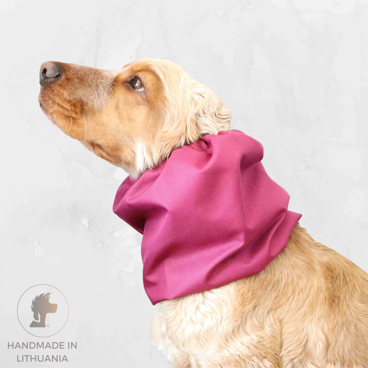 Ūdensizturīga suņu šalle (snood) | Raspberry