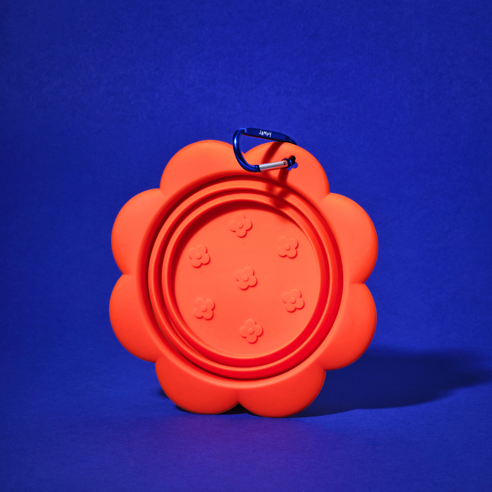 Ziedu bļoda - silikona saliekama ceļojumu bļoda suņiem: oranža